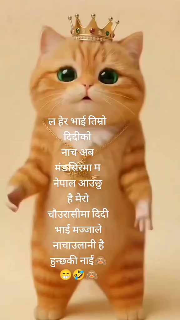 @sophy chettri ❣️🇱🇷🇯🇵🇳🇵🥀