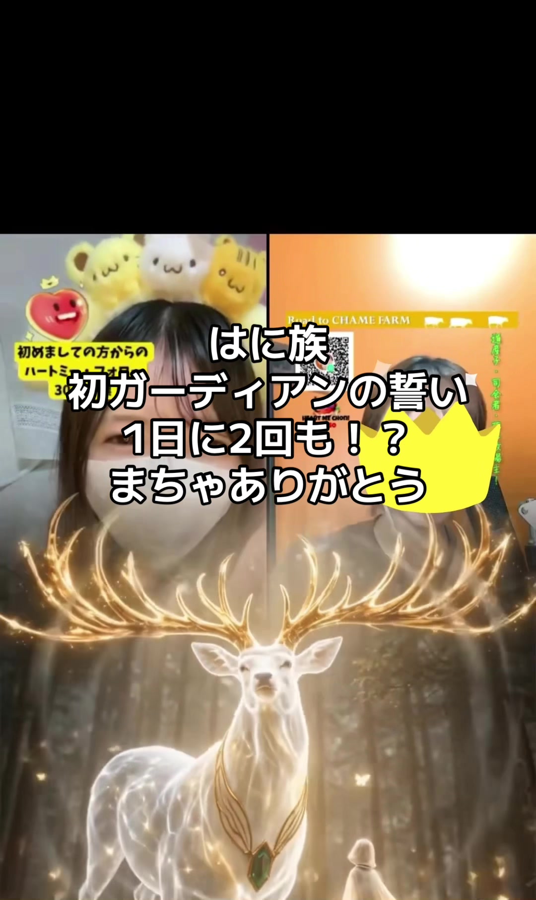 @新人王はにちゃん🍯🐝