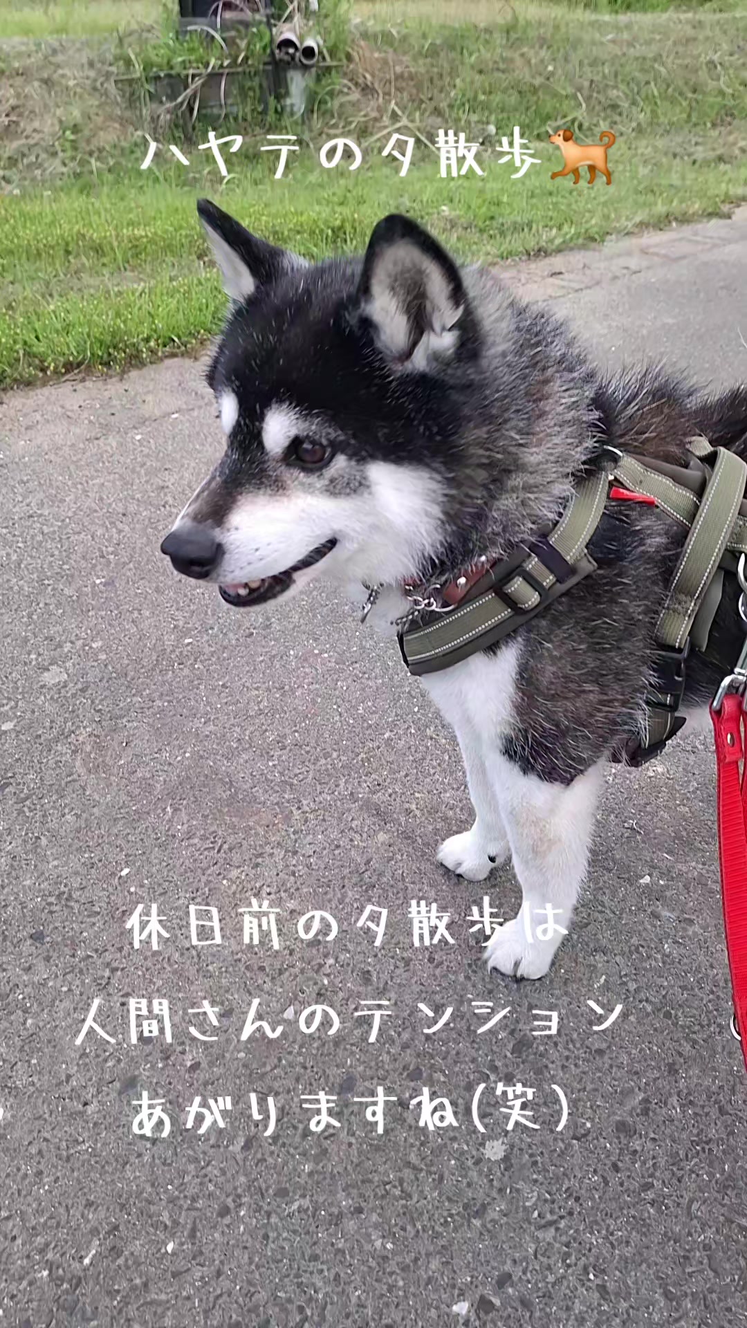@111シンゴ