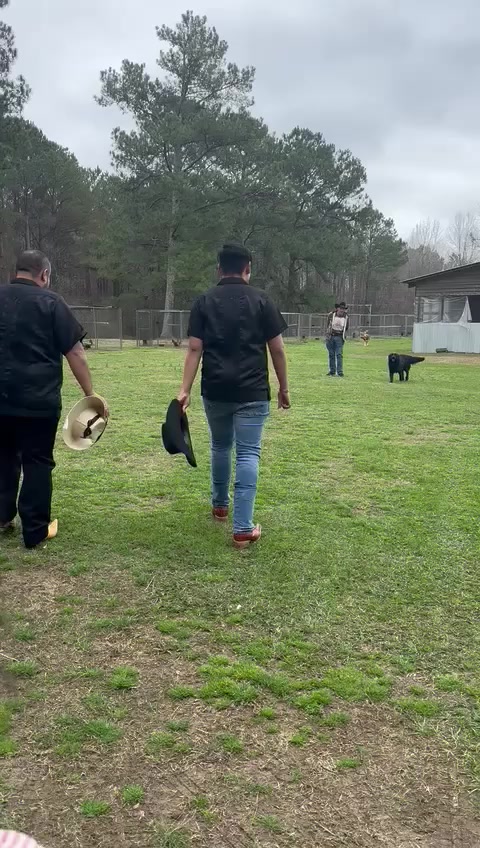 @Carol Nesmith Gamefarm