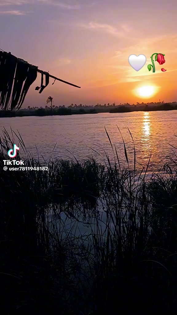 @معتز العمـدة👑