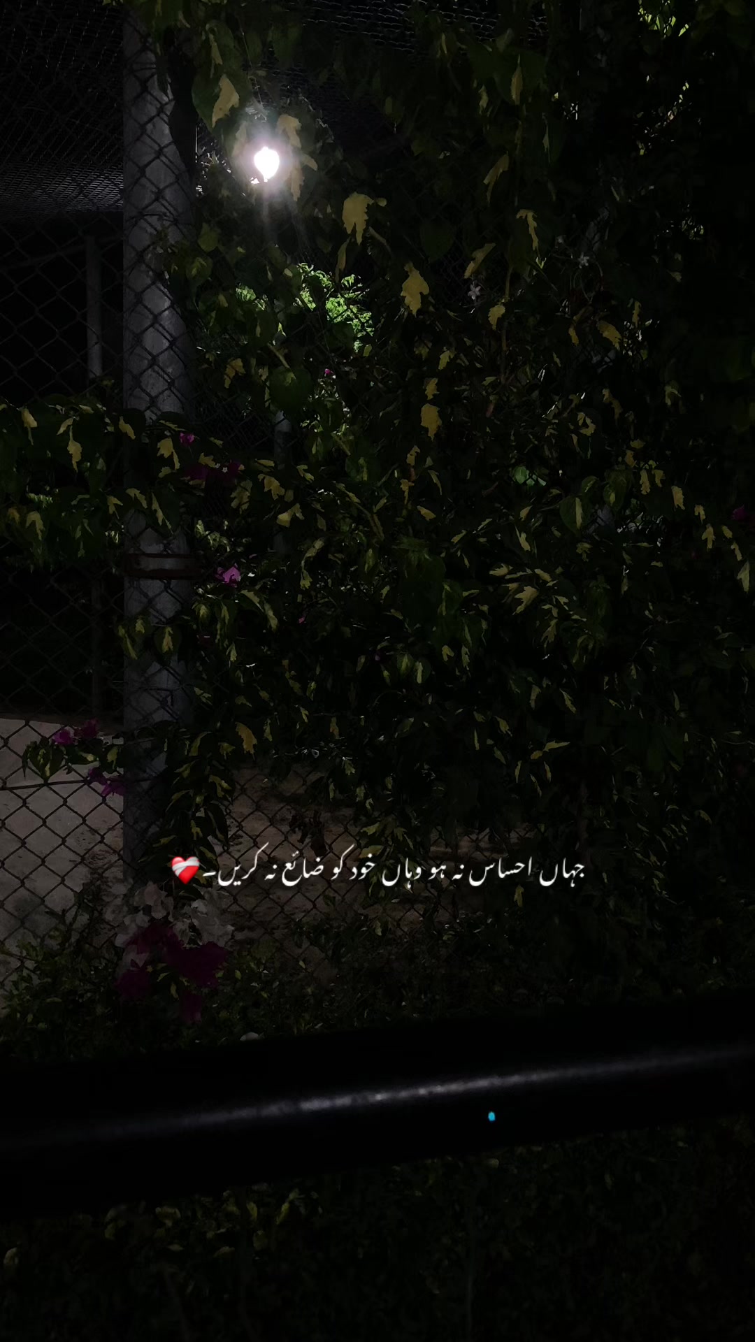 @ع🩹❤️🩹