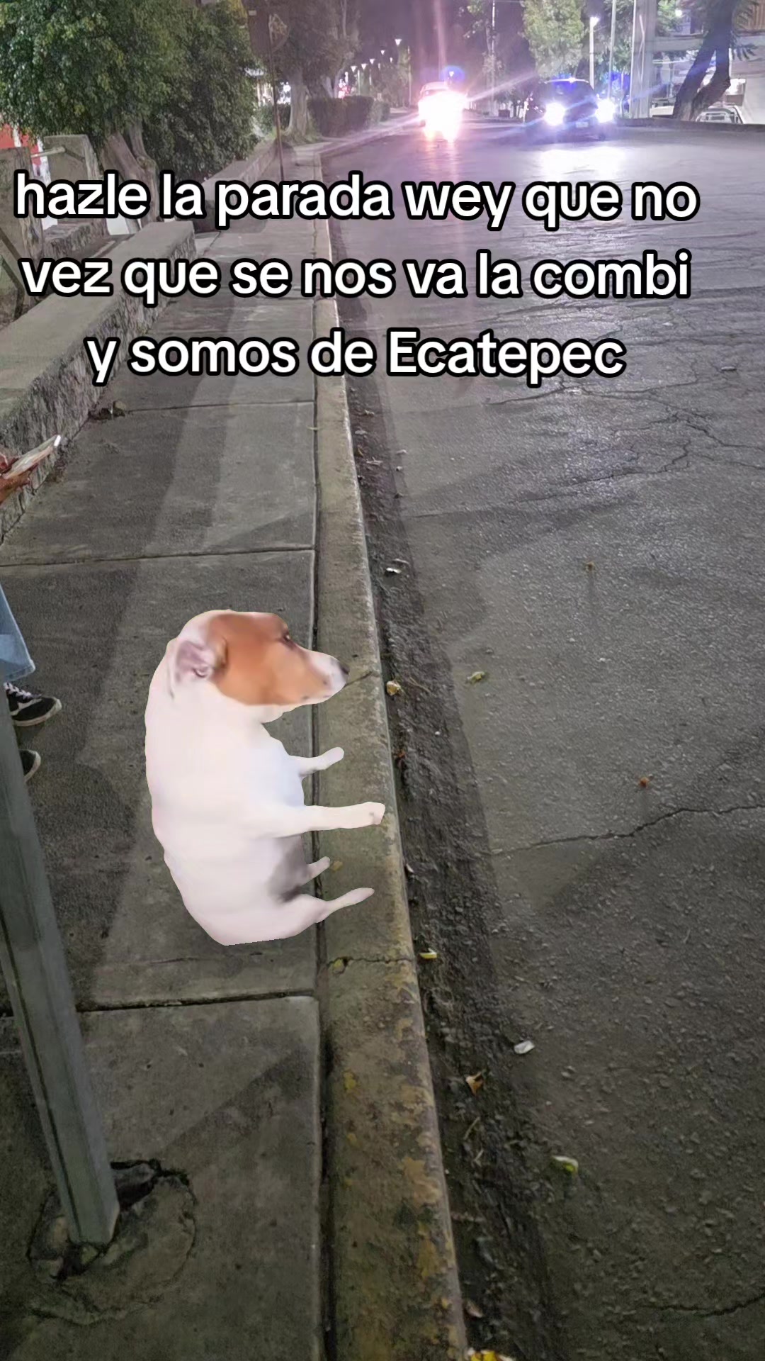 @♡☆Srita.EcatepecV:☆♡