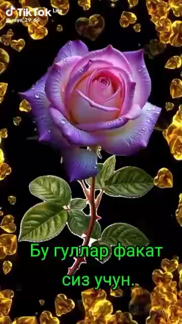 @ЗЕБО 24