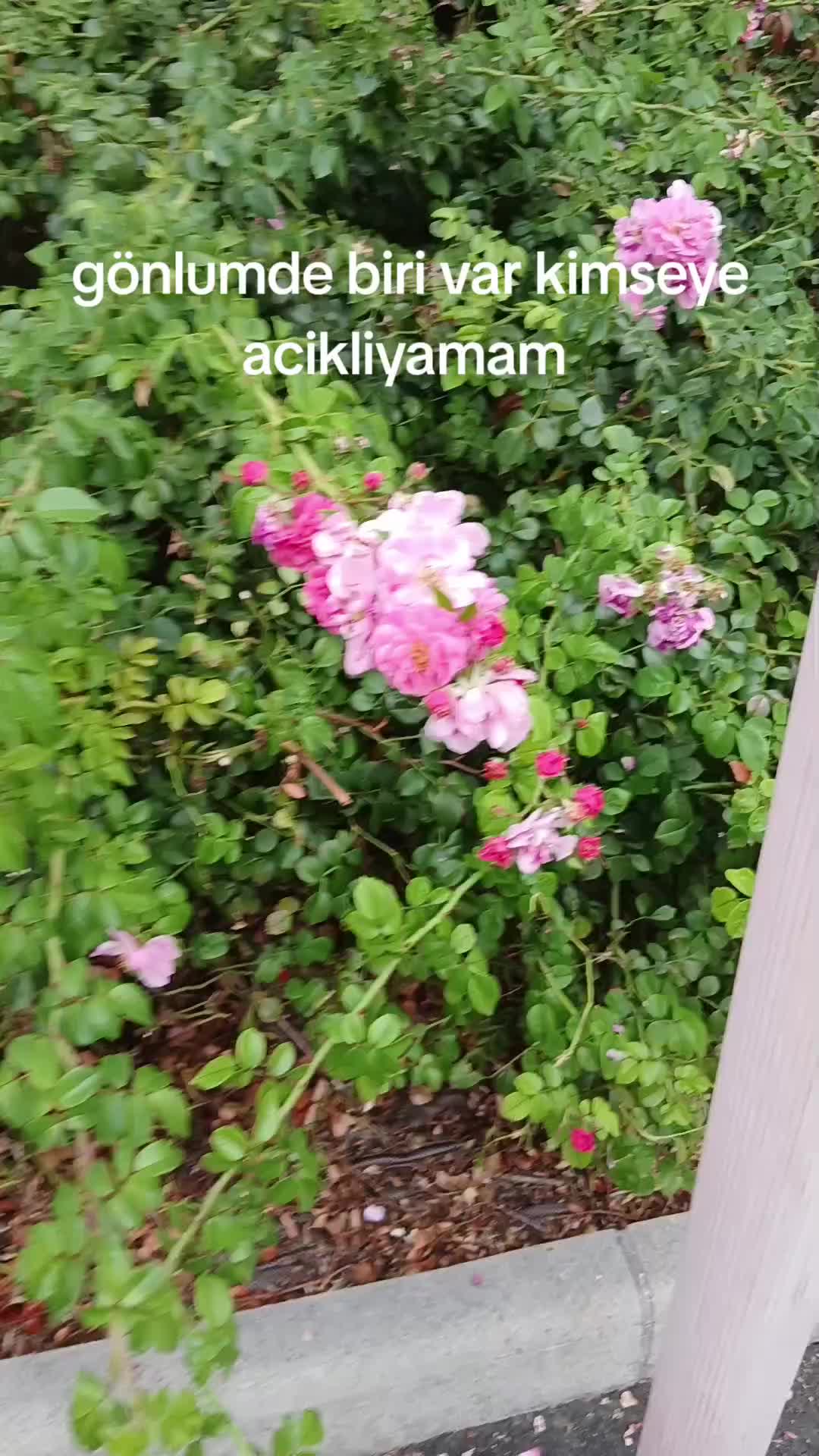 @cengiz karaca🇹🇷🇲🇫🇹🇷🇲🇫