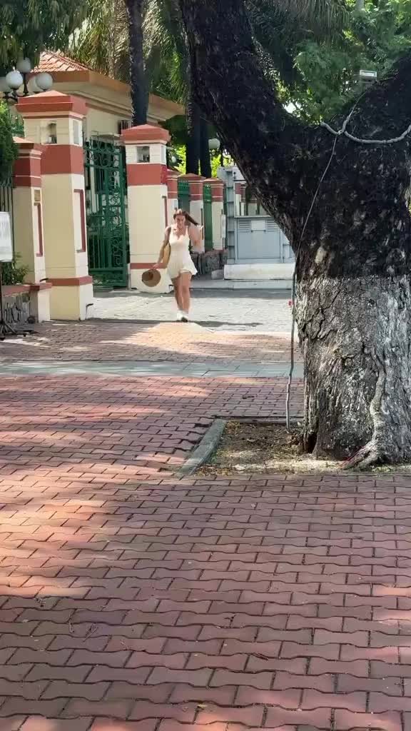 @Franz8961
