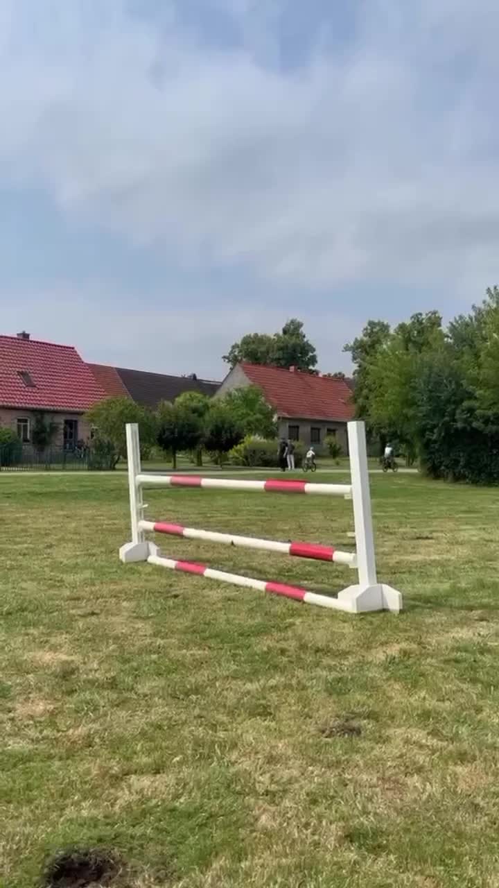 @Helene🦅🇩🇪