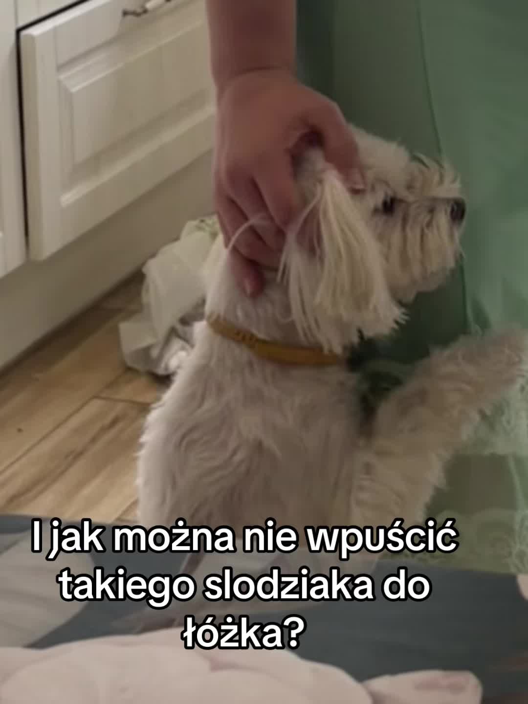 @3mi_piero