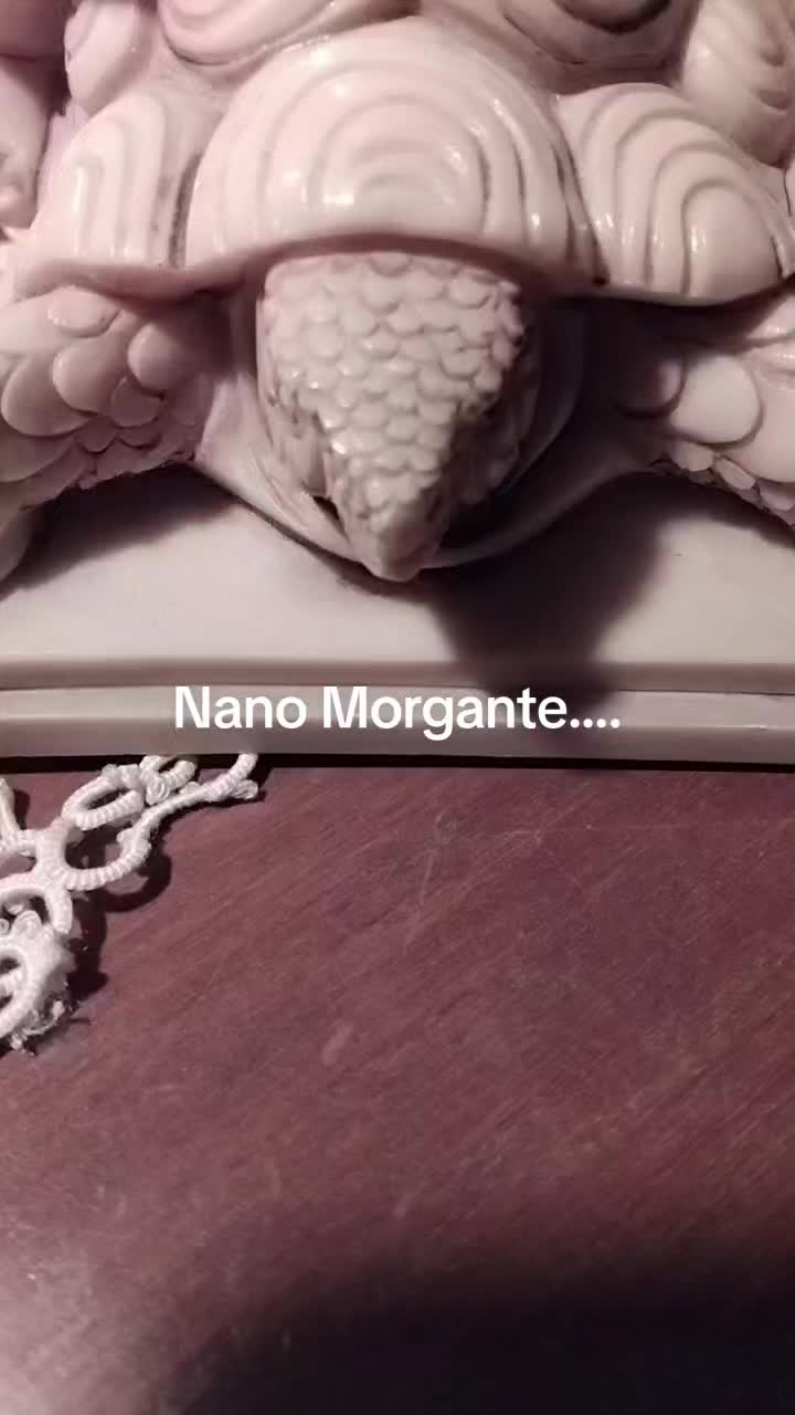 @vincenzoparasiliti2