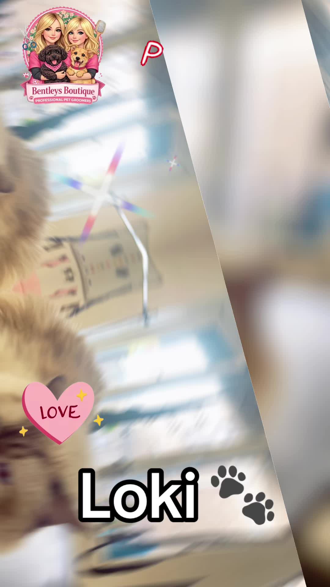 @Bentleys Boutique Pet Groomers