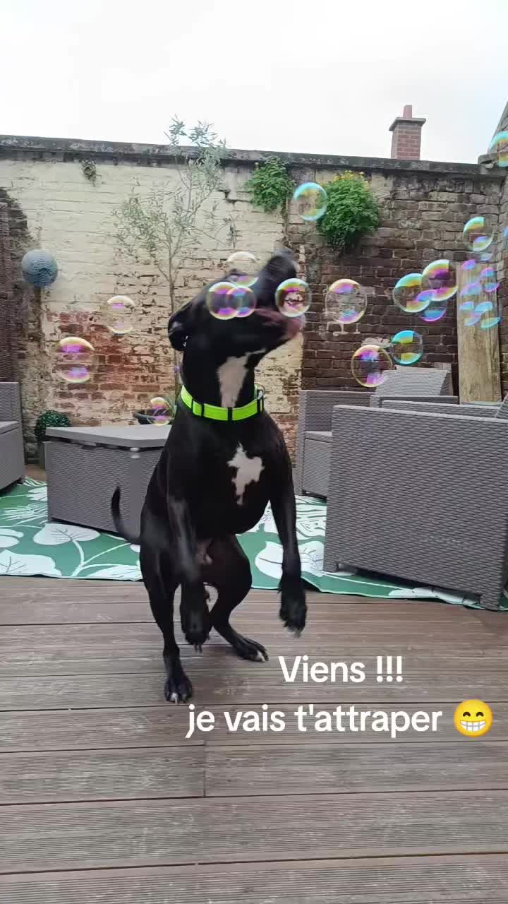 @AR