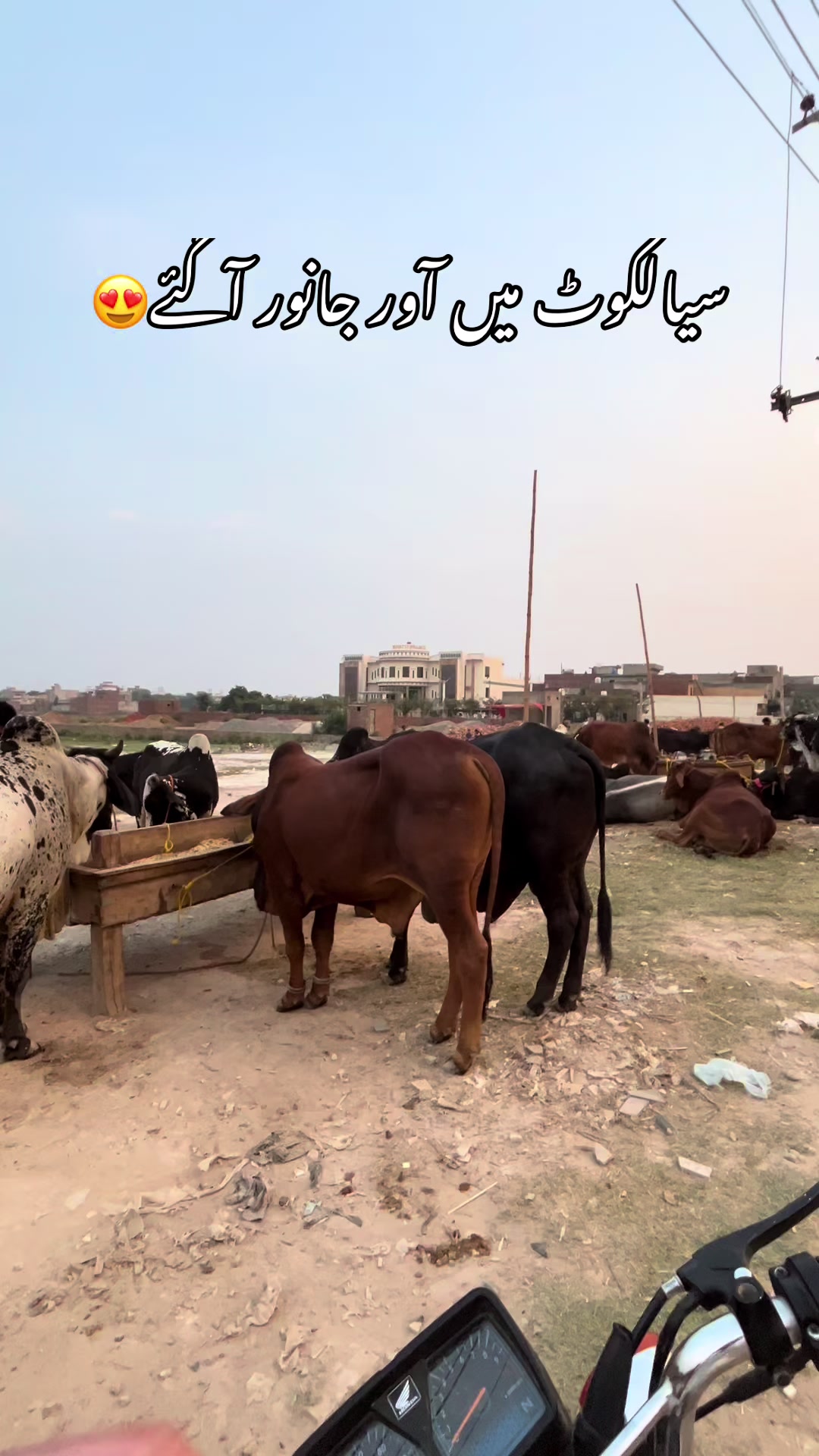 @ASHIR SIALKOTI