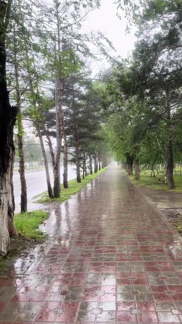@Бабылыч🦥
