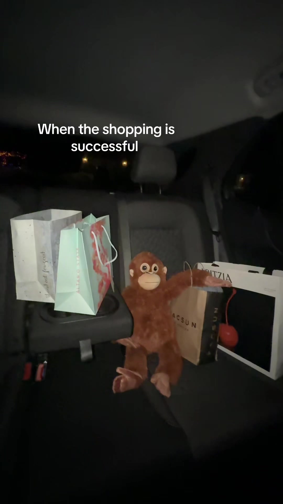 @Ziggy 🐵
