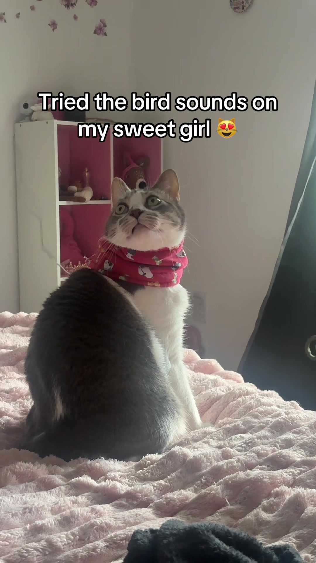 @LyndZ