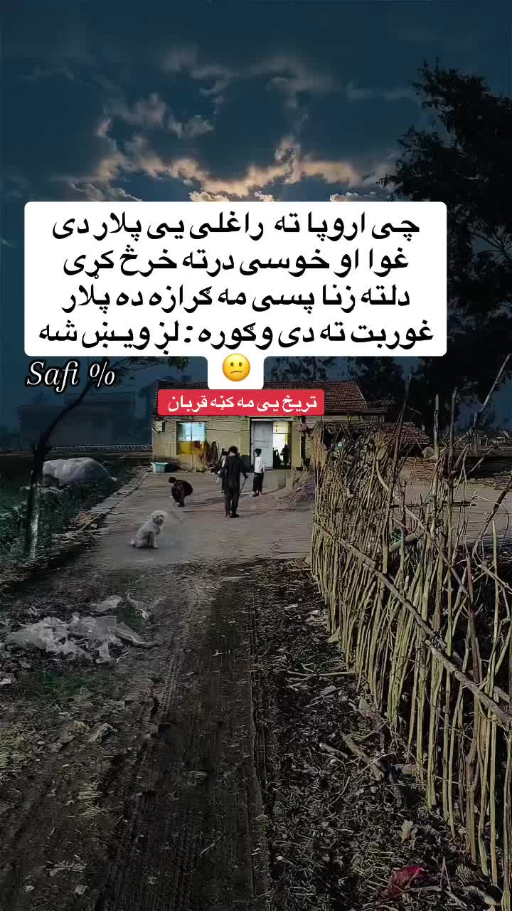 @safi.tg2026