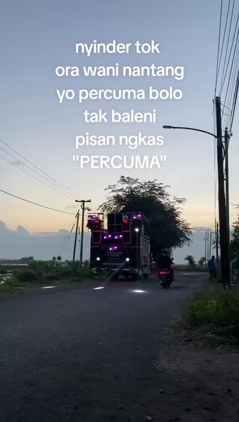 @p3b_official