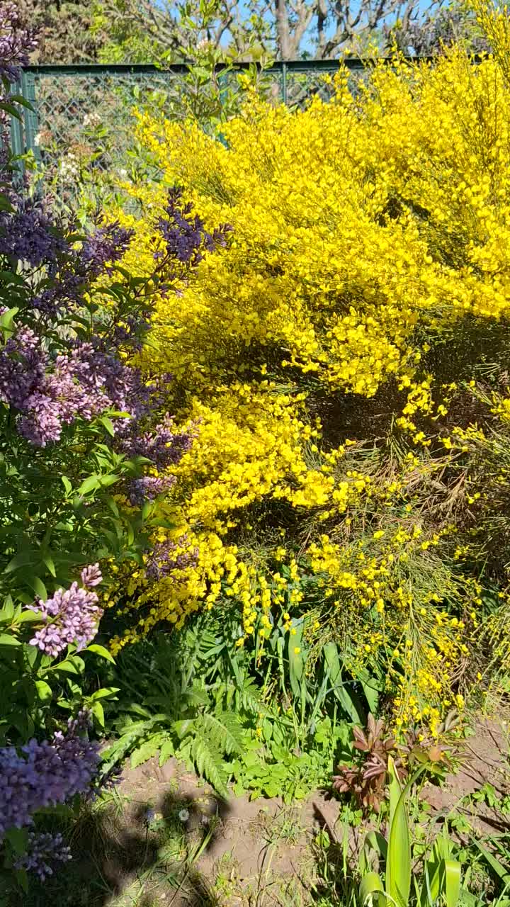 @Natur und Garten