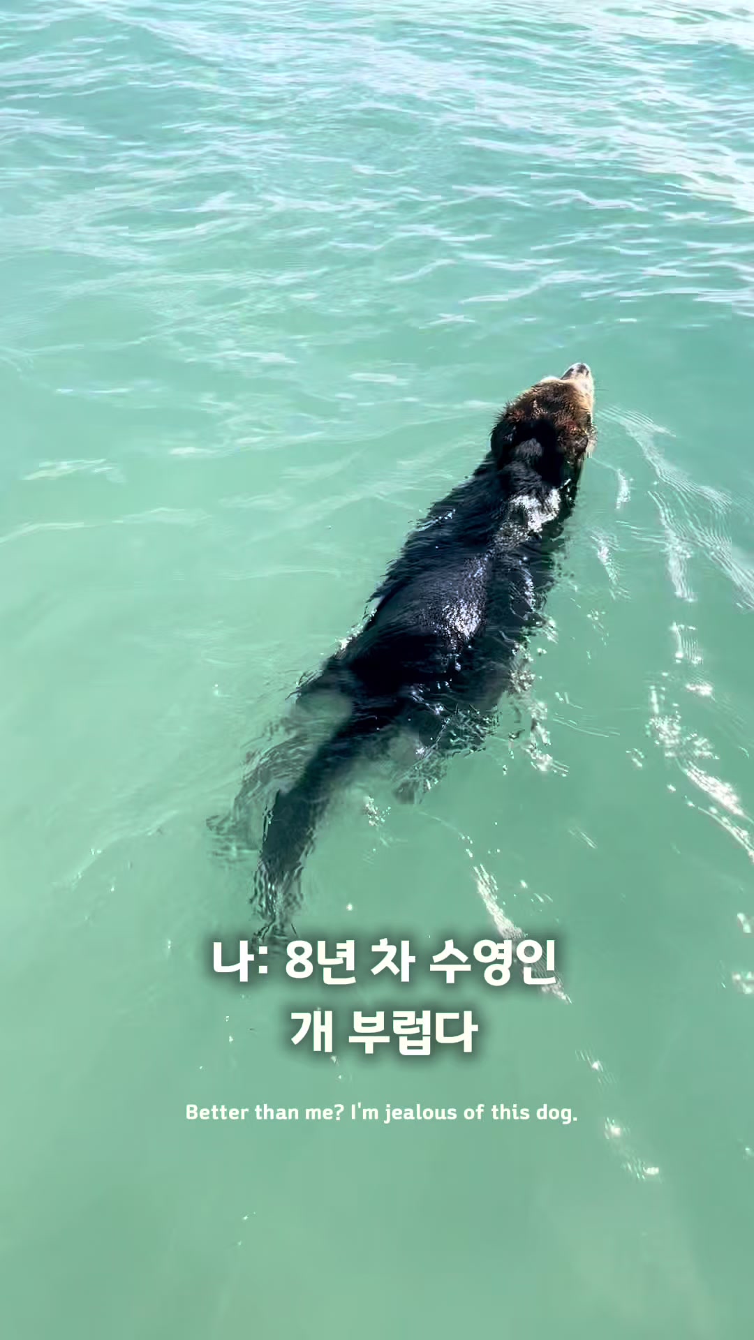 @에너진 | 서퍼스코 대표