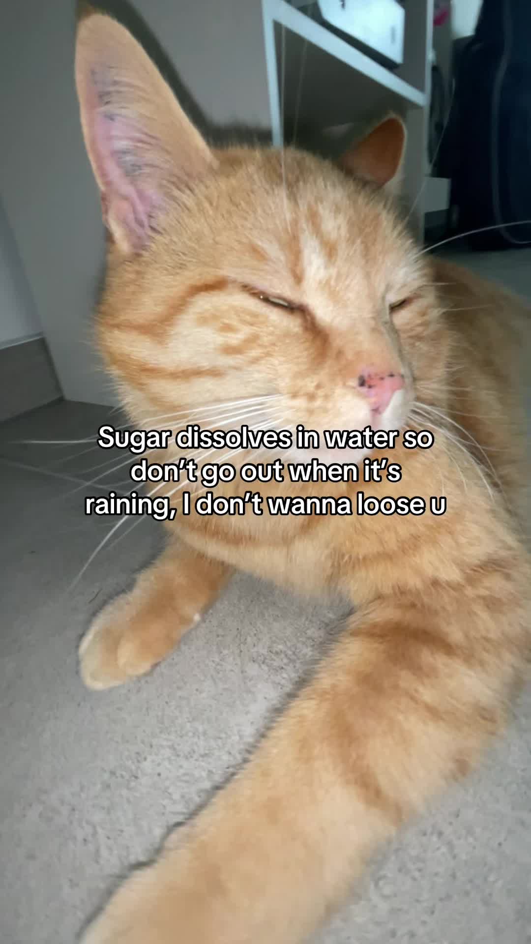 @Simba