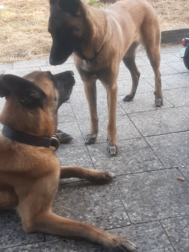 @Malinoirist Bootcamp