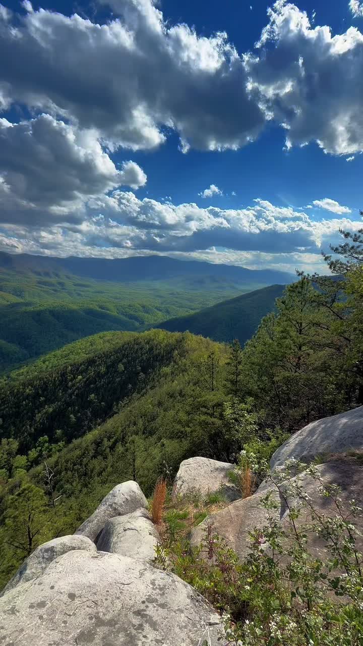 @Nature junkie
