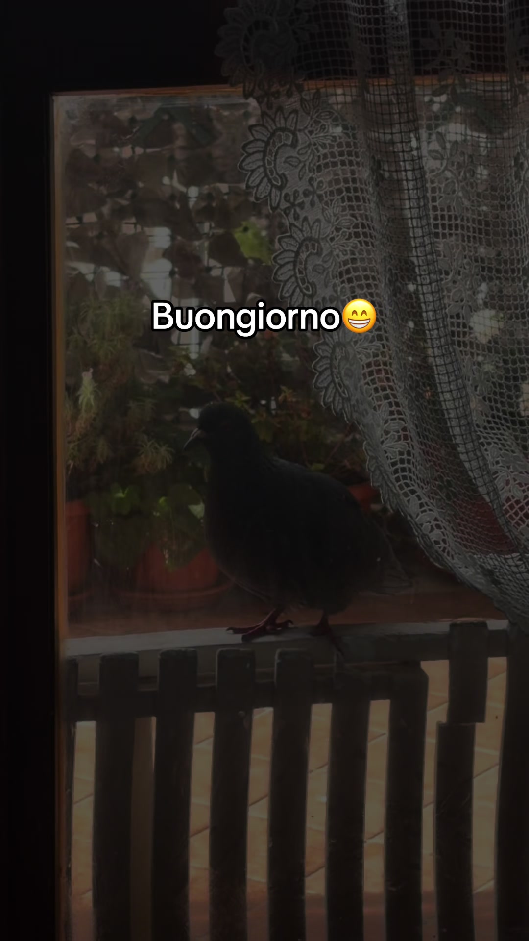 @Pina Varriale