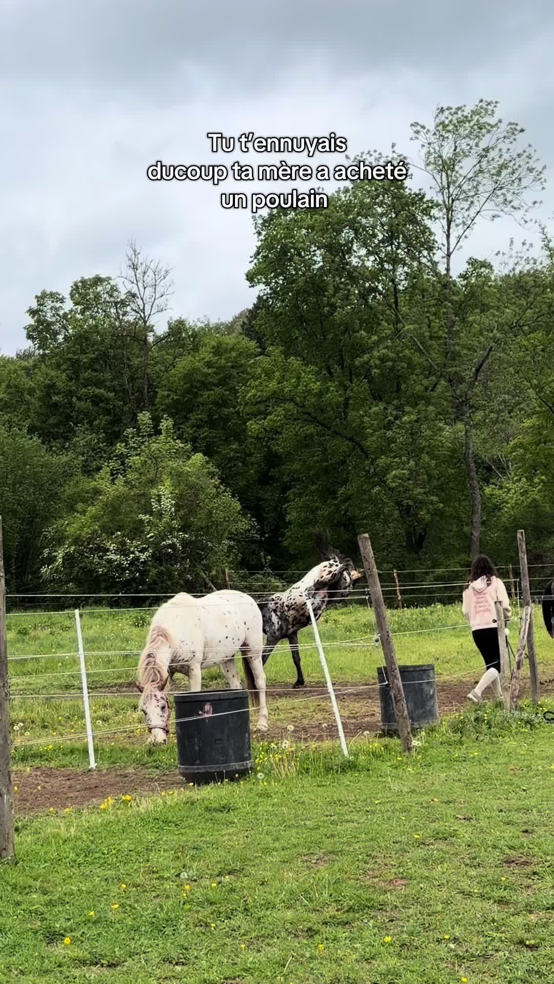 @ℳ𝒶𝓇𝑔𝒶𝓊𝓍🇧🇪