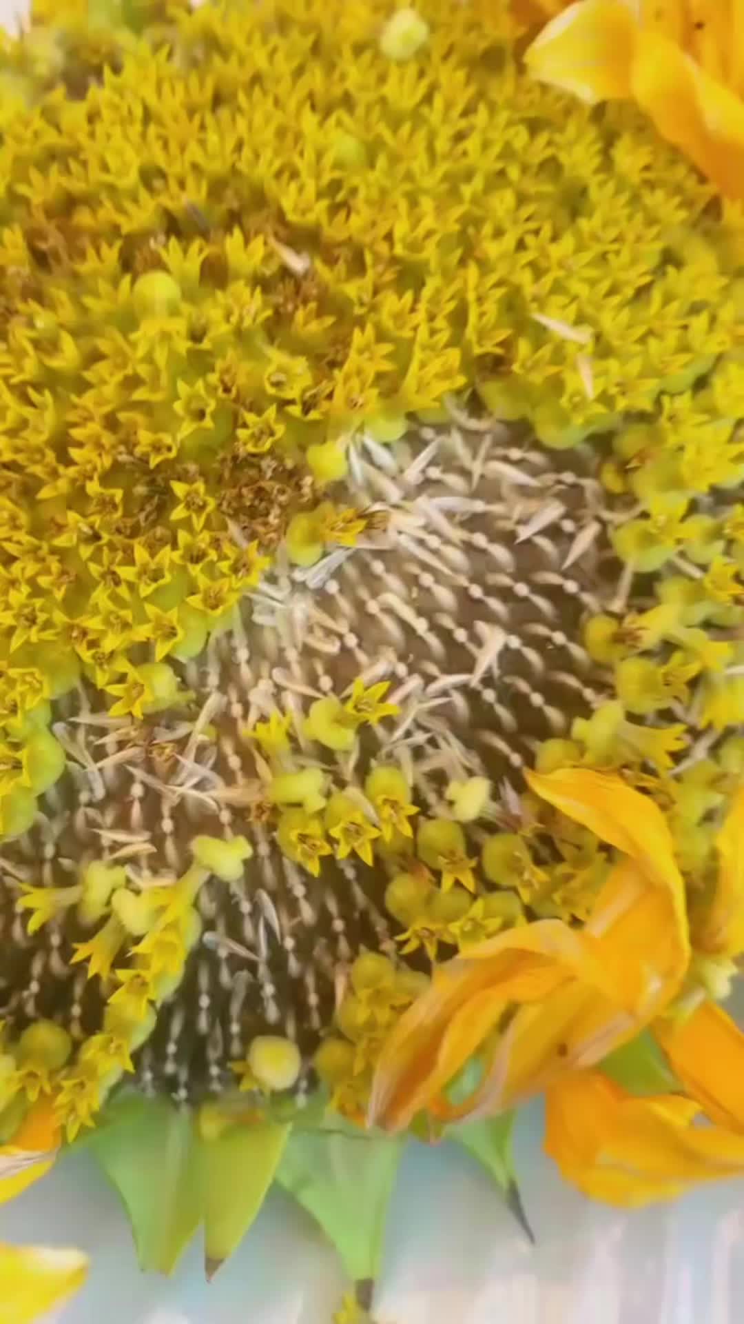@توته ملتوته🍓☺️✌️
