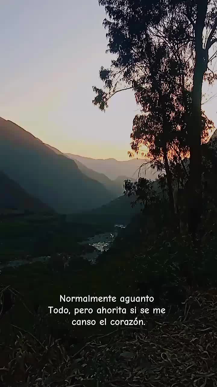 @Marii🩵