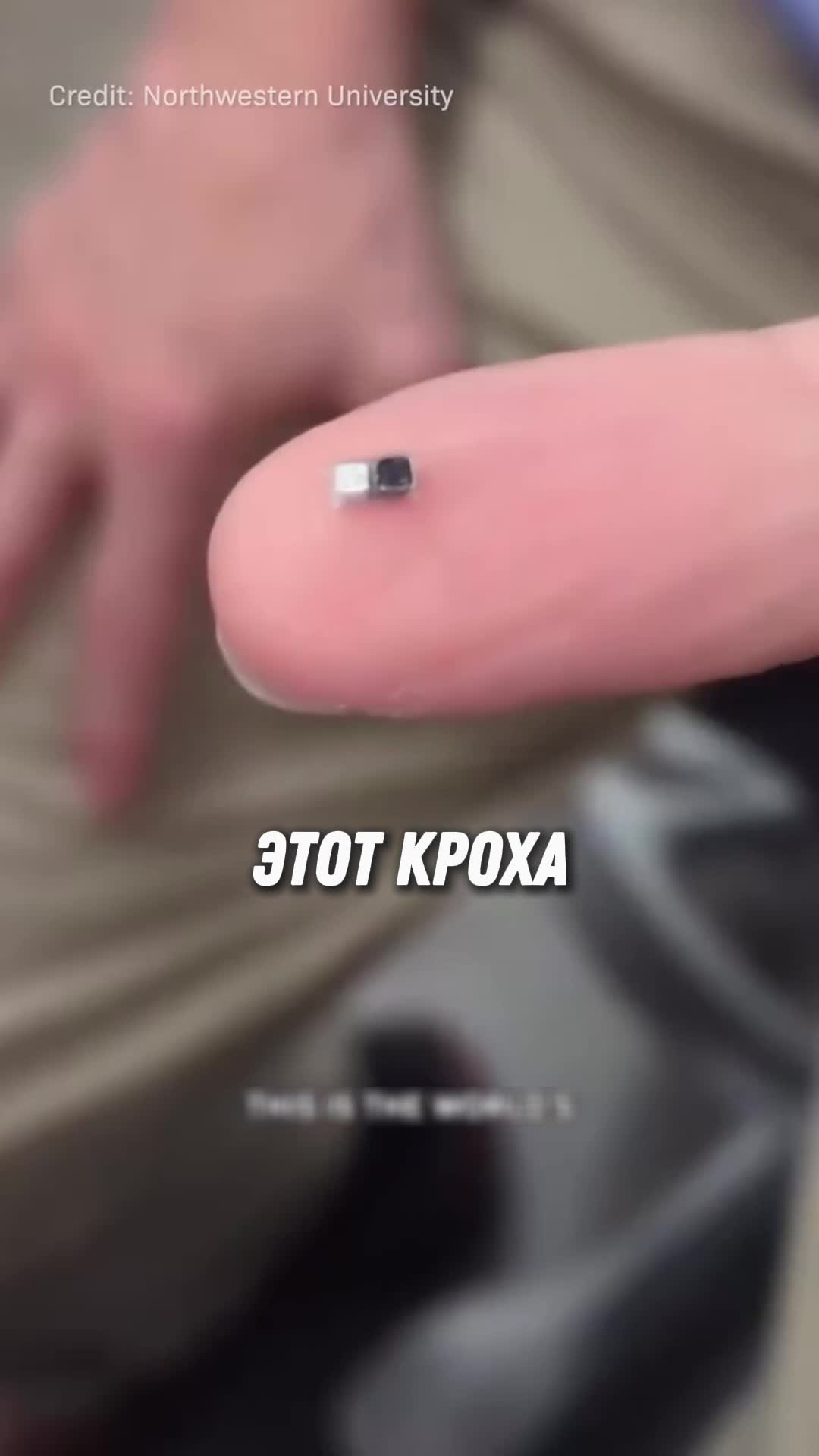 @markelov_facts