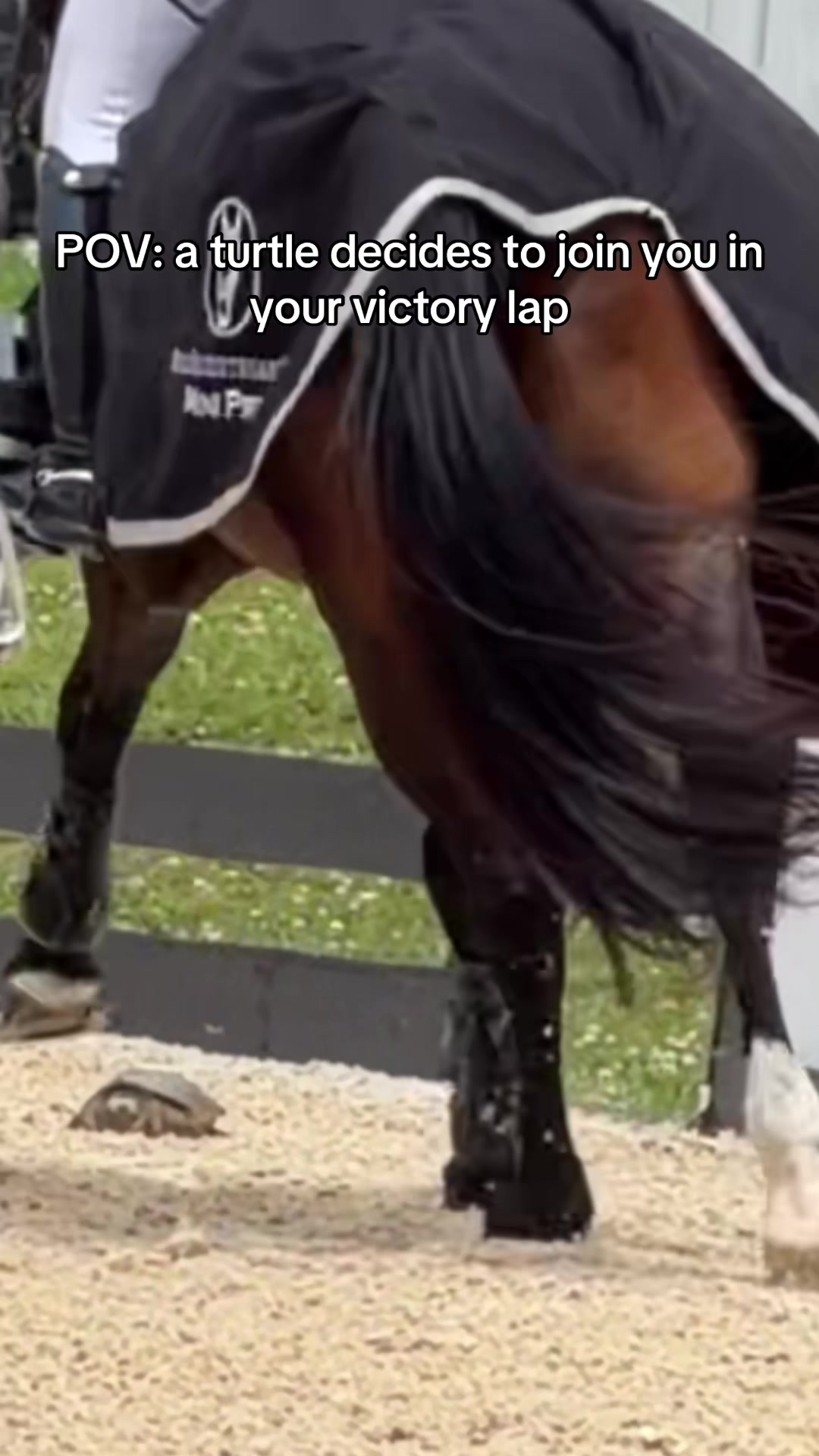 @Dakota Sheikh