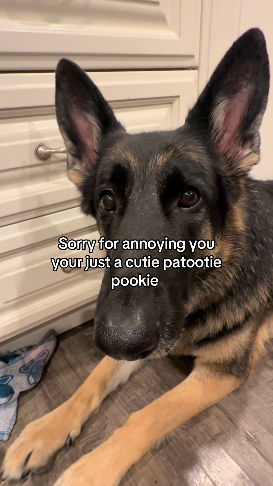 @Bhris