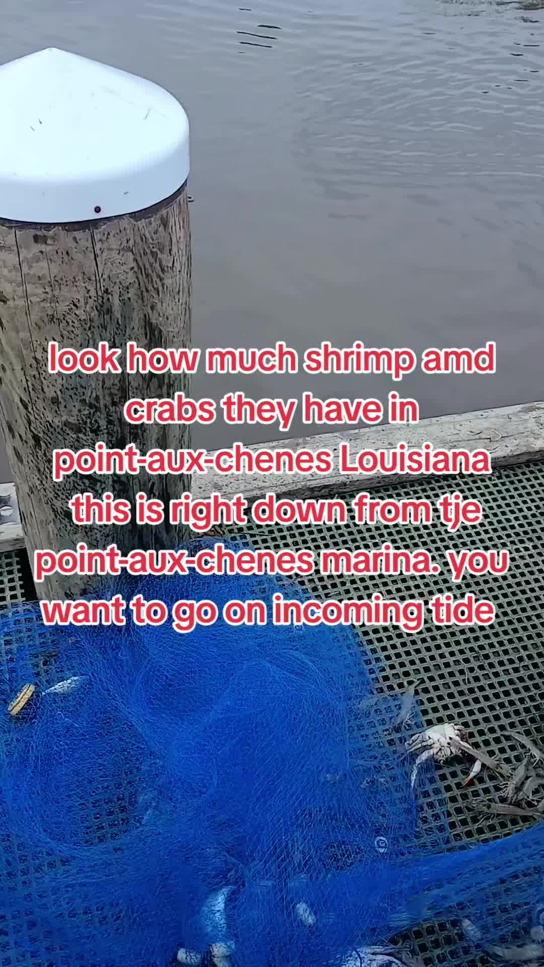@SALTWATER SAB OUTDOORS