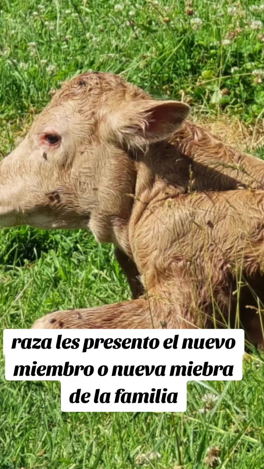 @rancho_rangel1