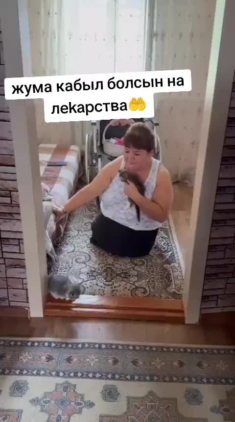 @Жанслу 🆘♿♿♿
