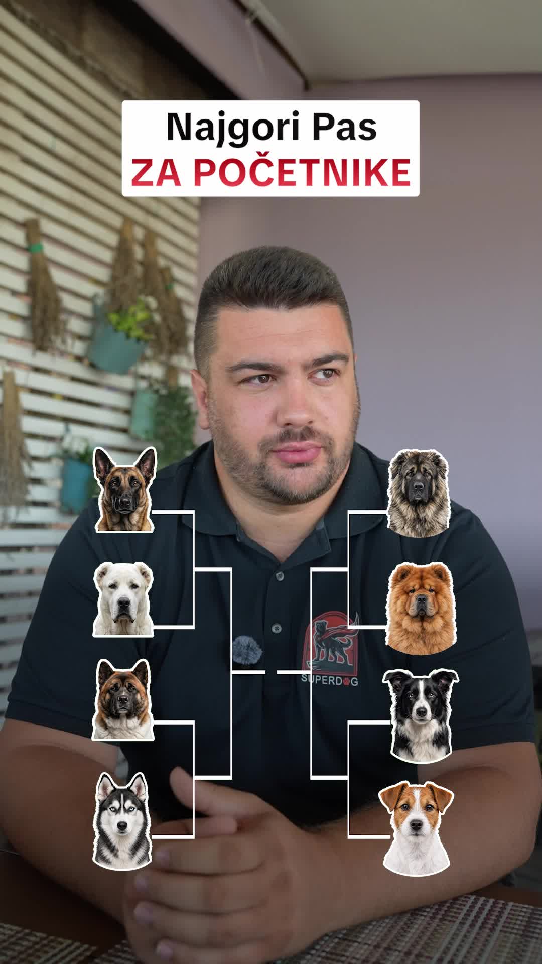 @superdog.akademija