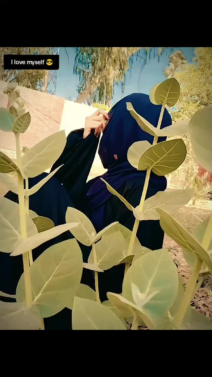@zari momn