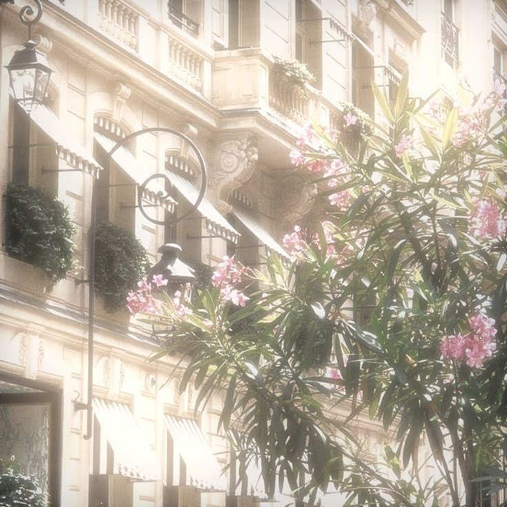 @୨ৎ Rossi ୨ৎ :3