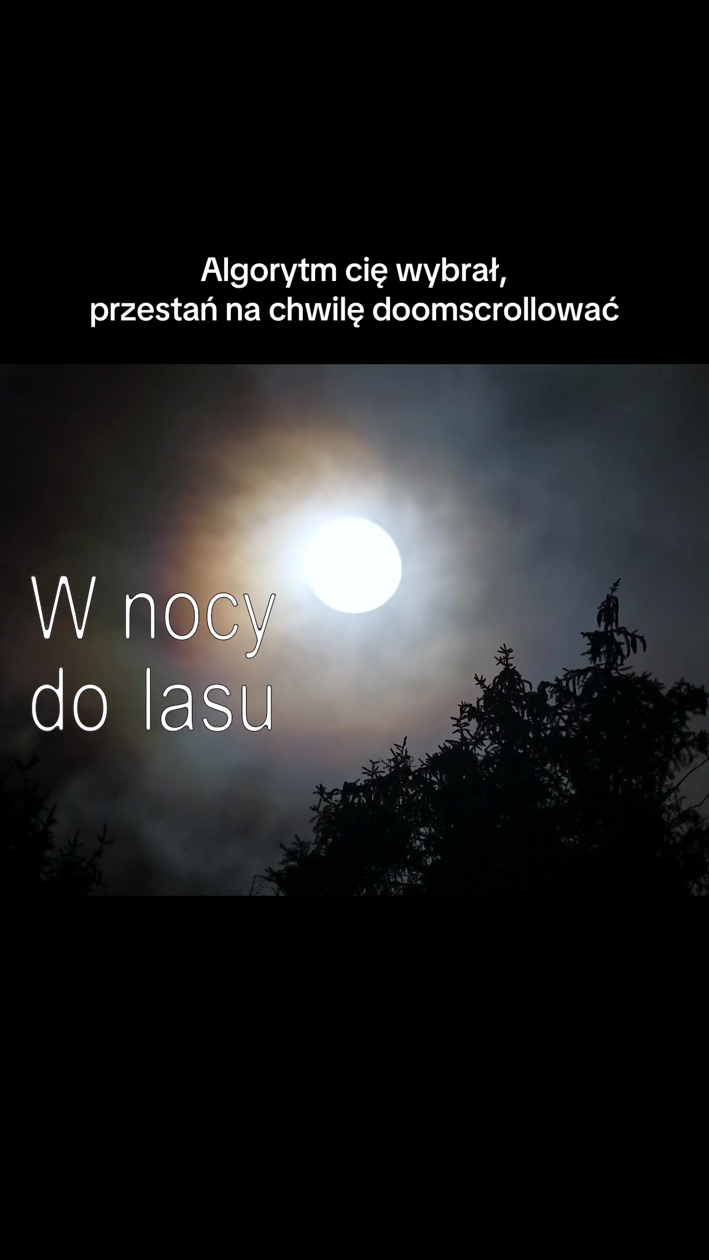@Dawid Walkusz