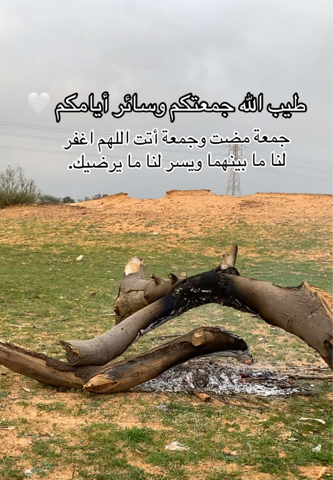 @محمد المزروعي📷🎖️