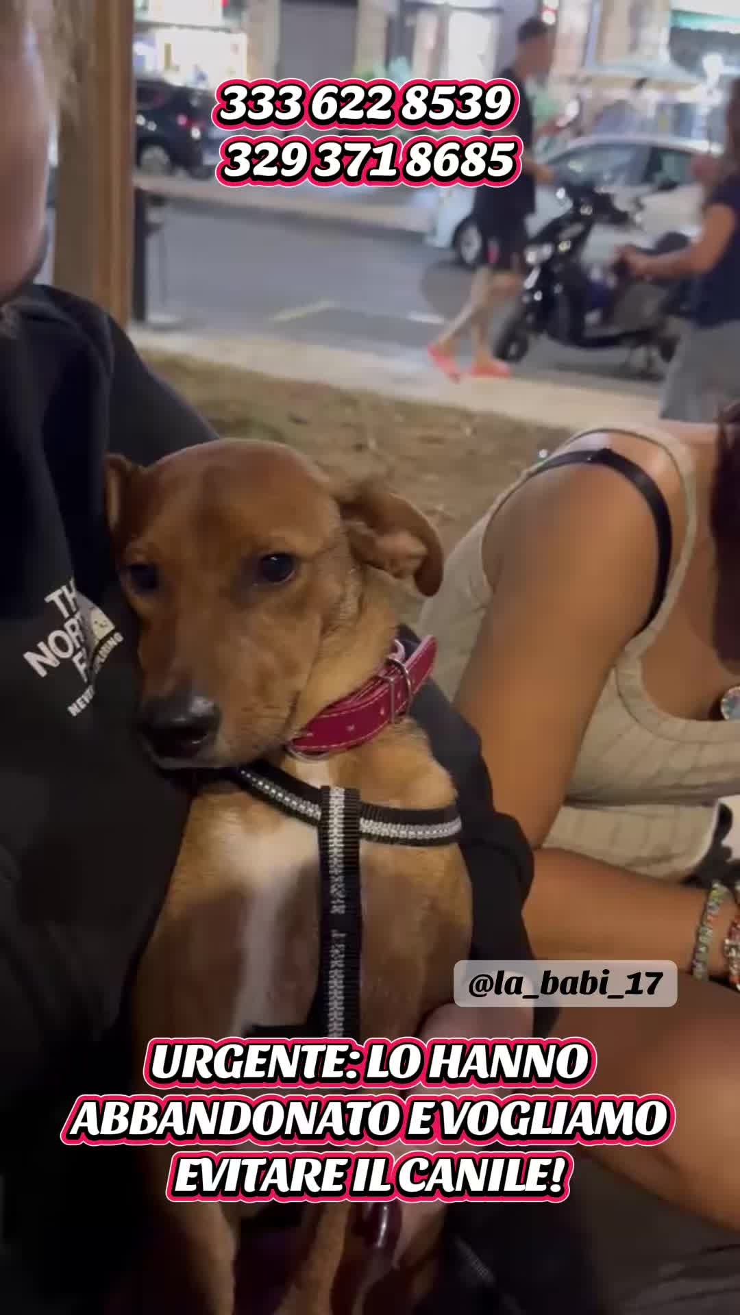 @la_babi_17