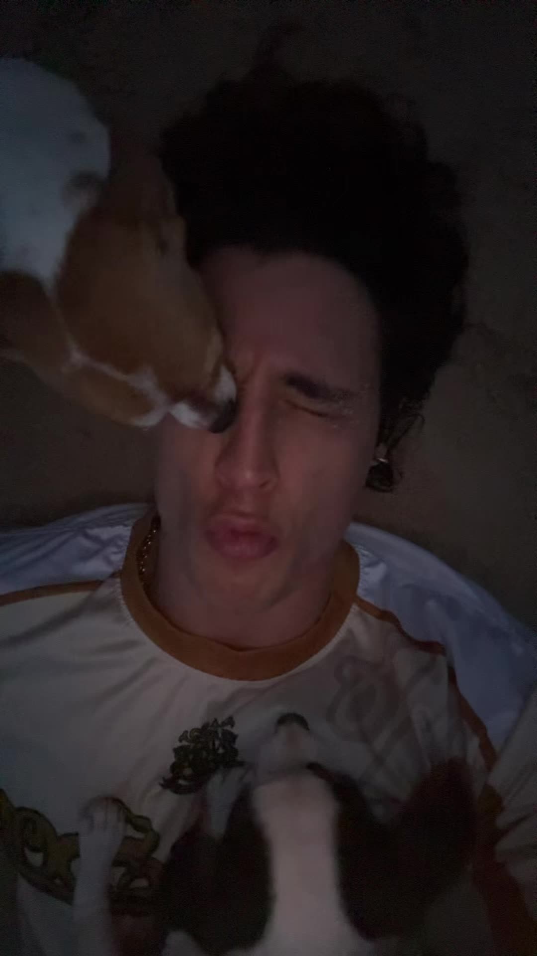 @Gattouz0