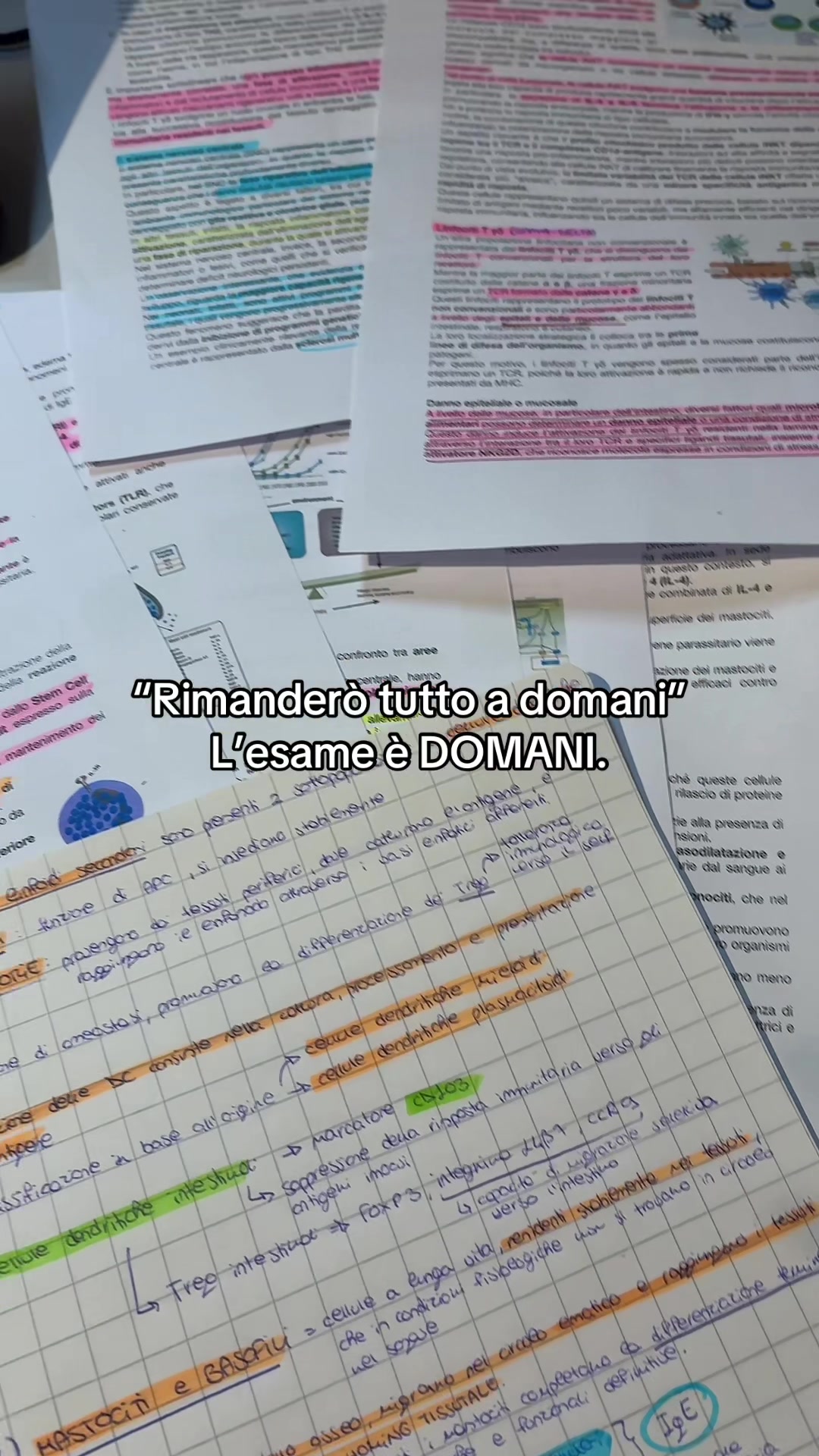 @Aurora | study tips📚