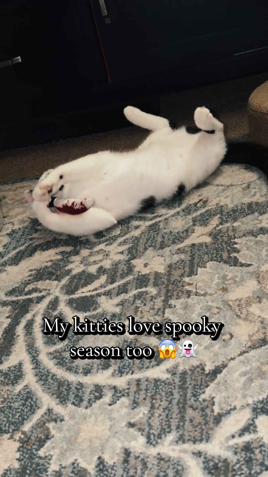 @Kelssโจ๐๐