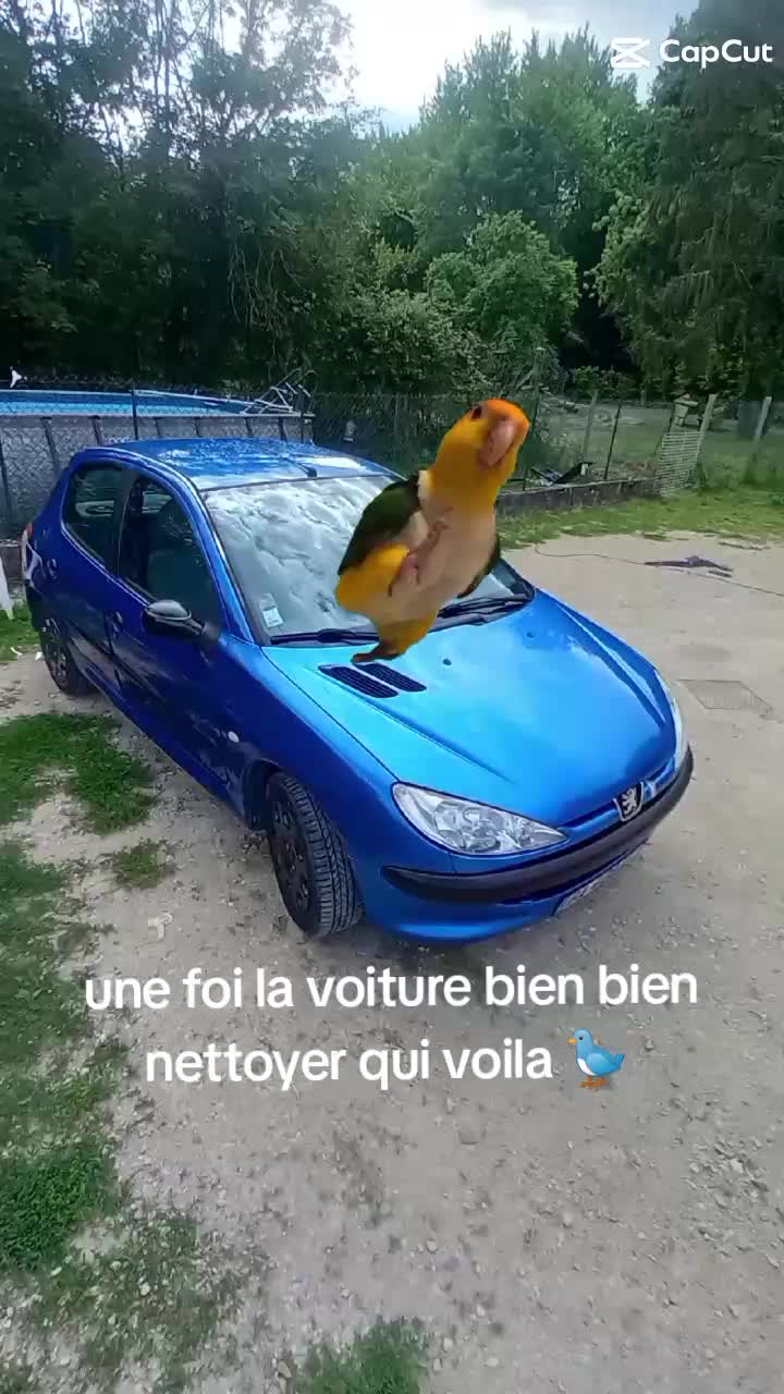@206réunionnais