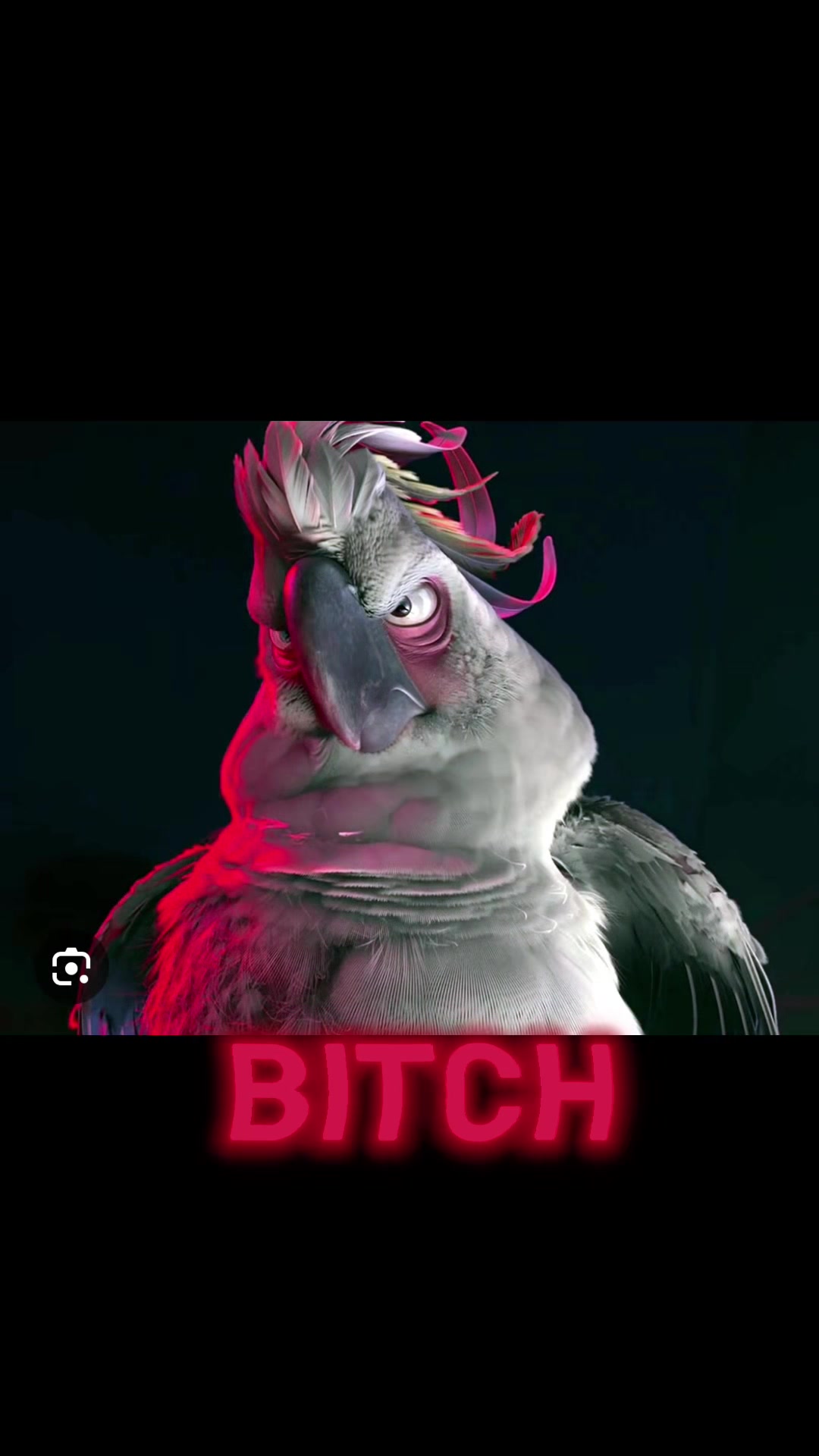 @Miranda Michelle