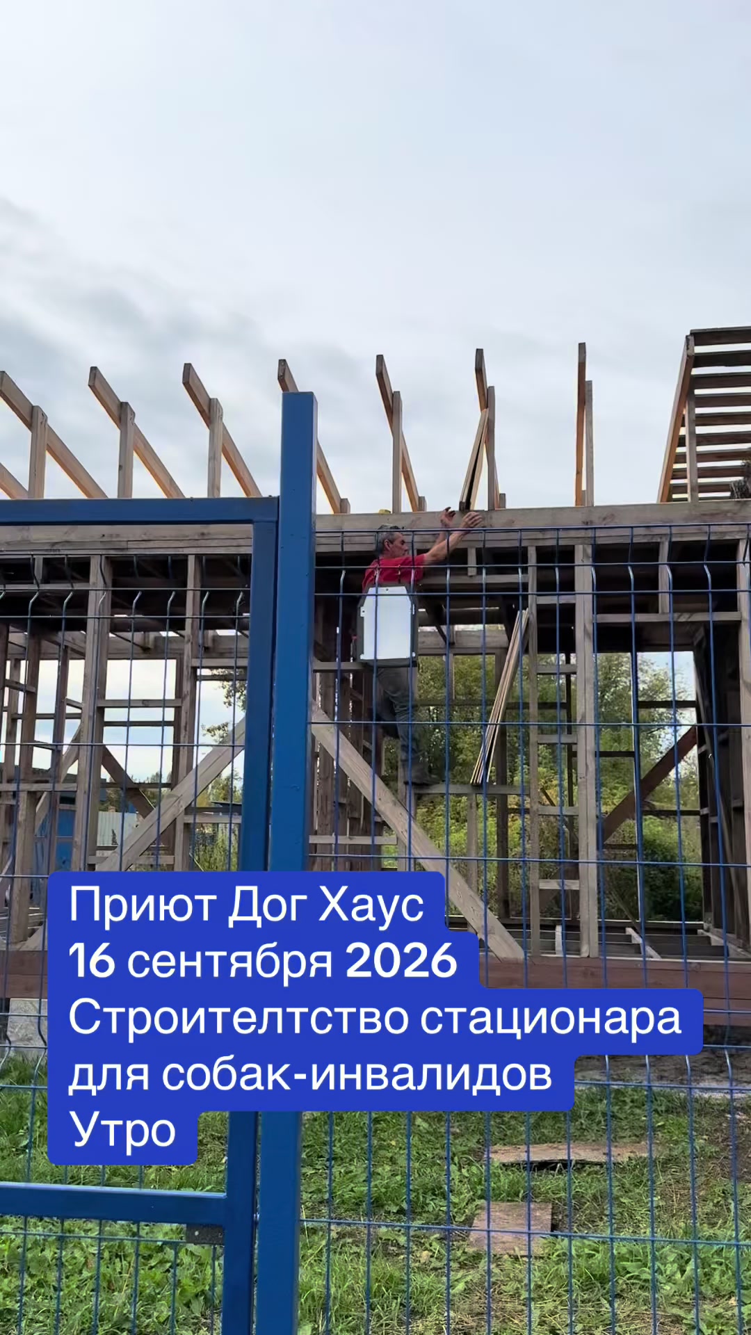 @dog_house_ozersk