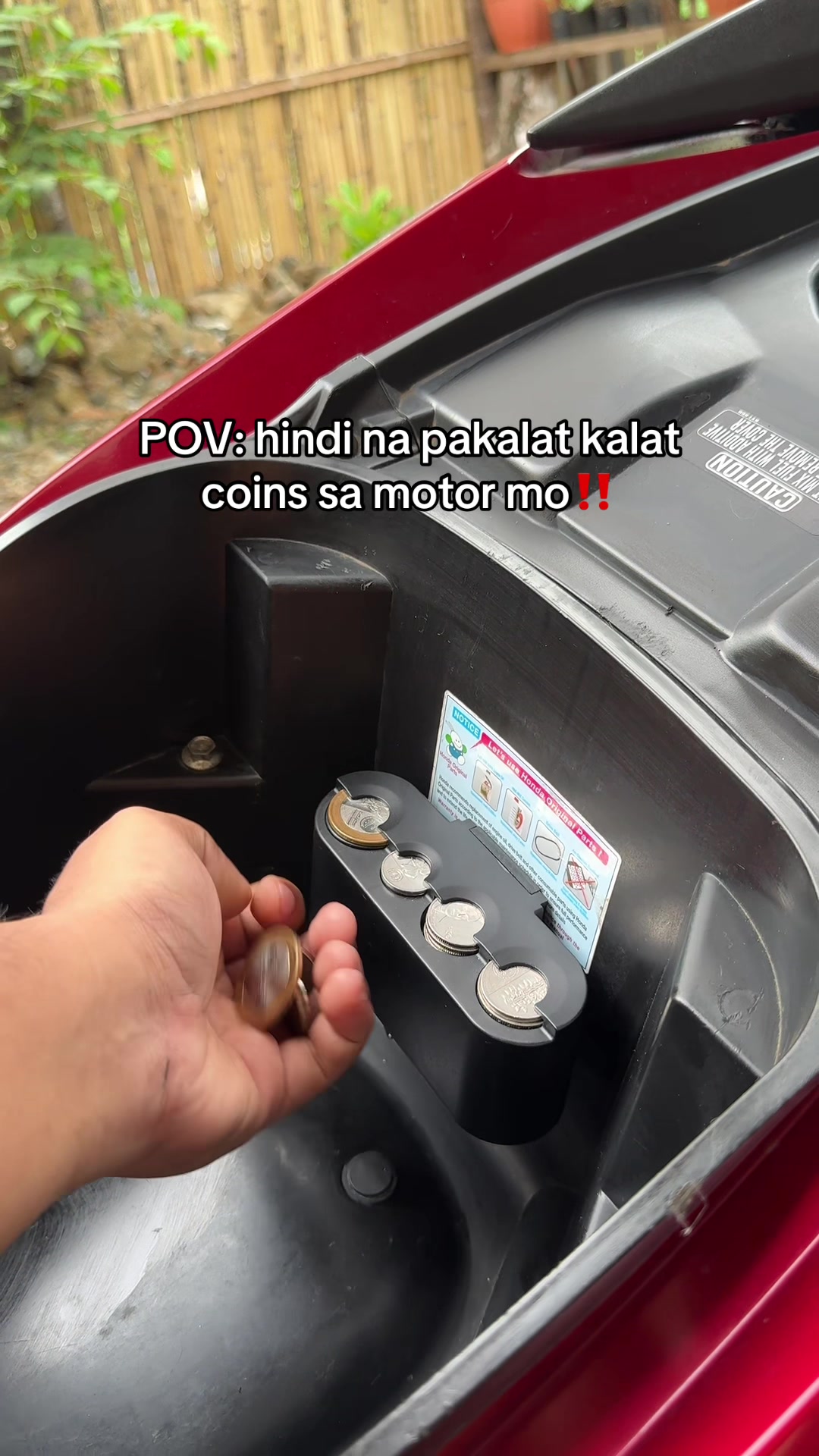 @Mikay