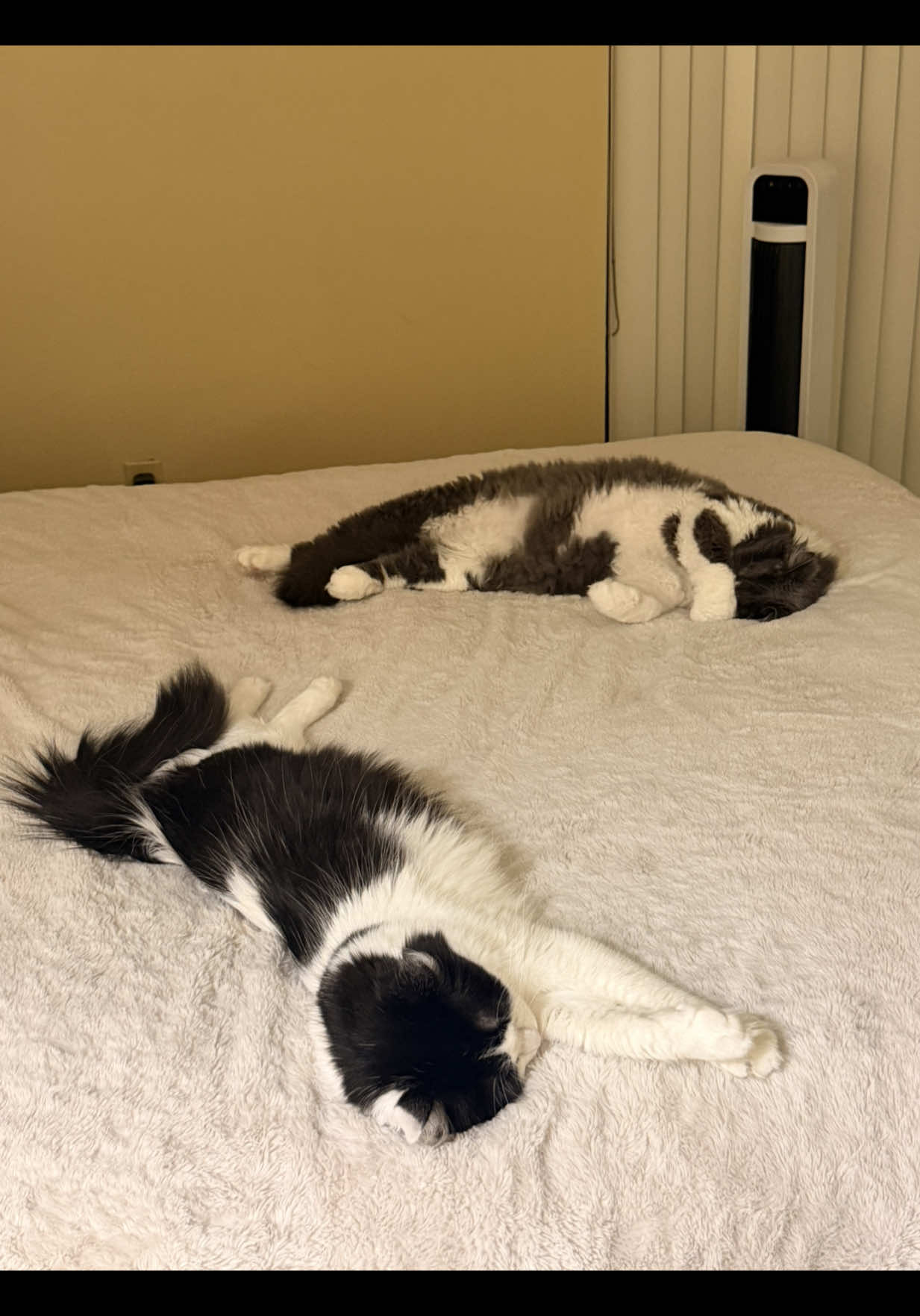 @mily8707